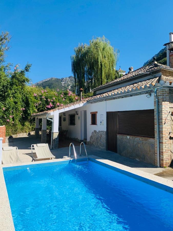 La Fuente De El Nacimiento Guest House Benamahoma Eksteriør bilde